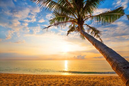 Seascape of beautiful tropical beach with palm tree at sunrise. sea view beach in summer background.の写真素材