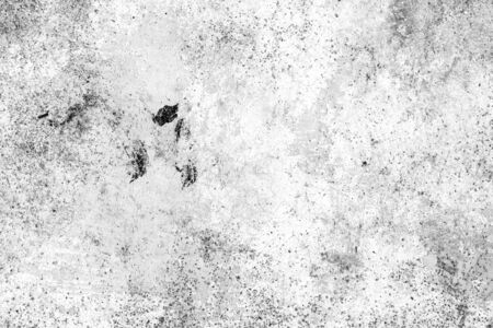 Grunge concrete wall white and grey color for texture backgroundの写真素材