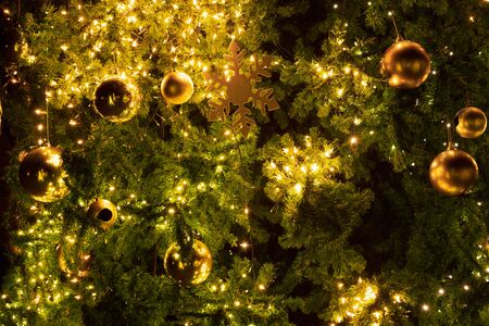 Close-up Christmas tree with decoration, light and gold ball at night in Christmas and New Year holiday.の写真素材