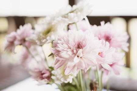 Beautiful pink flower in vintage styles.の写真素材