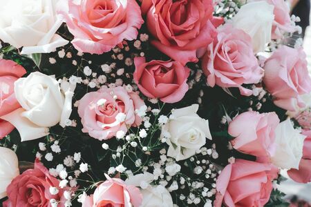 Pink rose flower blossom in vintage color. flowers bouquet in wedding day, love and romantic background. flower in spring.の写真素材