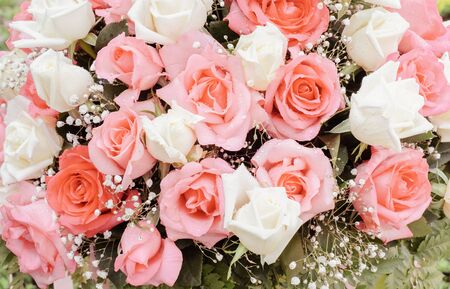 Pink rose flower blossom in vintage color. flowers bouquet in wedding day, love and romantic background. flower in spring.の写真素材