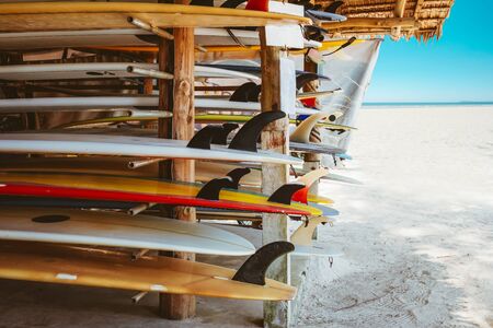 Colorful surf boards in shop for rent on the beach. water sports  equipment. vintage color tone effect. の写真素材