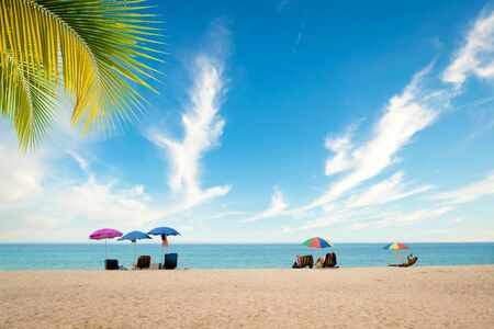 Exotic tropical beach landscapeの写真素材