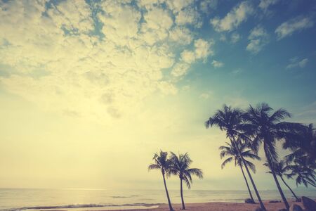 Seascape photo of vintage postcard.  silhouette palm tree on beach with yellow sunlight of the sun through the clouds over the blue sky. retro filter effect.の写真素材