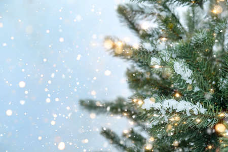 Closeup of Christmas tree with sparkling light, snowflake. Christmas and New Year holiday background. vintage color tone.の写真素材