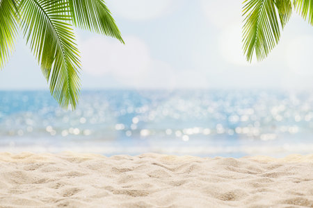 Abstract seascape with palm tree, tropical beach background. blur bokeh light of calm sea and sky. summertime vacation background concept.の写真素材