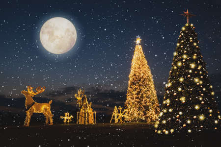 Christmas tree with full moon background in winter. Christmas and New Year holiday background. vintage color tone.の写真素材
