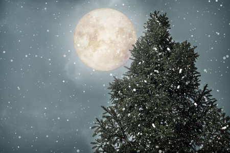 Christmas tree with full moon background in winter. Christmas and New Year holiday background. vintage color tone.の写真素材