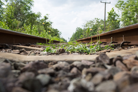 Small plant grow up between the railway.の写真素材