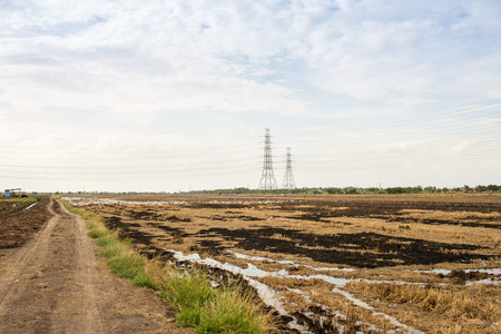 Field after havest and the large sky.の写真素材