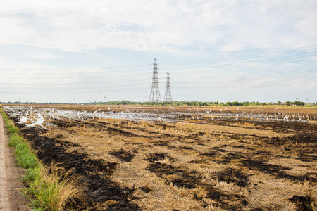 Field after havest and the large sky.の写真素材