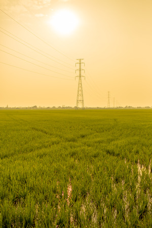 Landscape of the field in tranquil moment.の写真素材