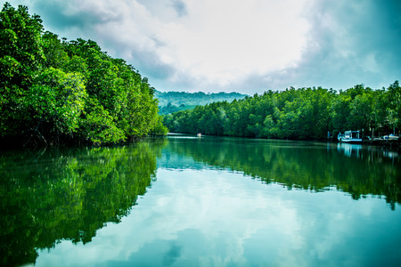 The beautiful scene under the tranquil moment.の写真素材