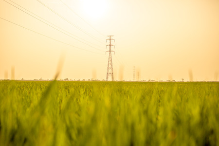 Landscape of the field in tranquil moment.の写真素材