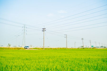 Landscape of the field in tranquil moment.の写真素材