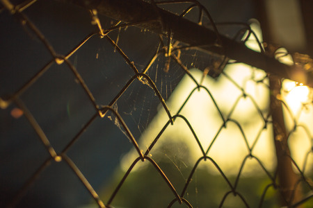 Ray, feeling of the freedom.の写真素材