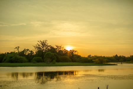 Small lake view with sunset.の写真素材