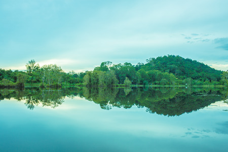 Abstract nature, reflection of trees in lake.の写真素材