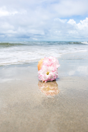 Flowers in seashell vase on the beach.の写真素材