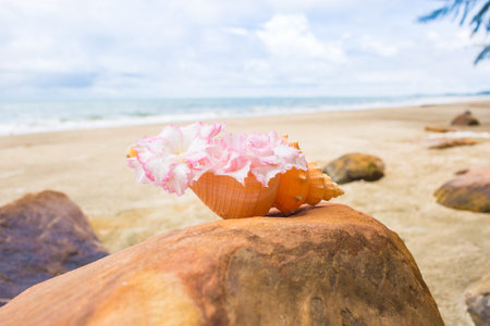 Flowers in seashell vase on the rock with seascape background.