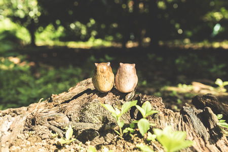 Ceramic owls with natural light.の写真素材