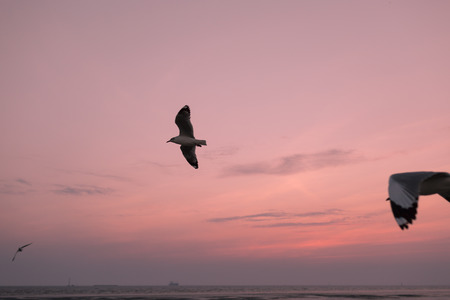 Natural landscape with sunset time.の写真素材