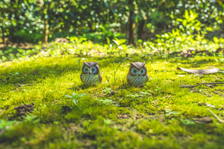 Ceramic owls with natural light.の写真素材