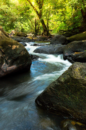 Waterfall with deep green forest background.の写真素材