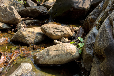 Small waterfall with natural light in deep forest.の写真素材
