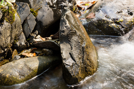 Small waterfall with natural light in deep forest.の写真素材