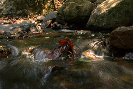Small waterfall with natural light in deep forest.の写真素材
