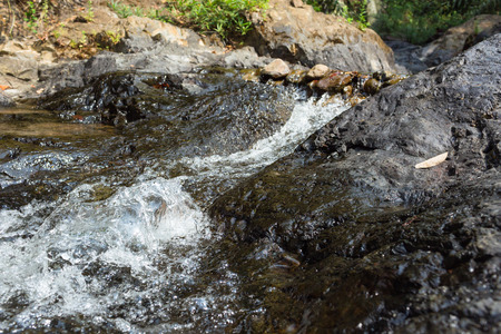 Small waterfall with natural light in deep forest.の写真素材