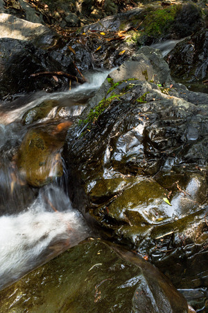 Small waterfall with natural light in deep forest.の写真素材