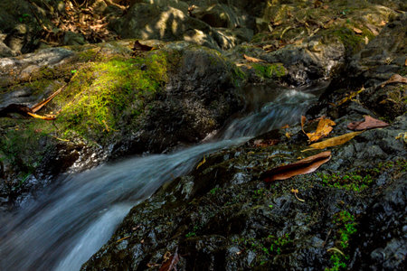Small waterfall with natural light in deep forest.