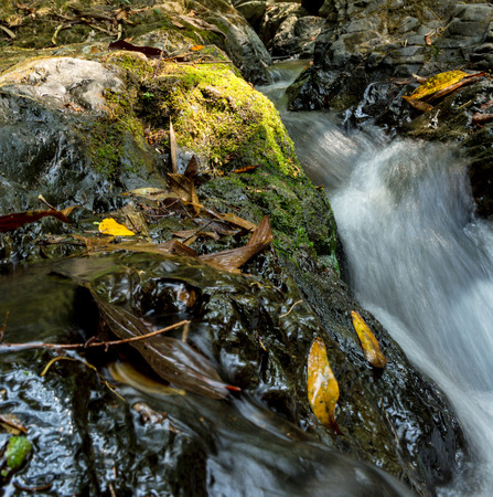 Small waterfall with natural light in deep forest.の写真素材