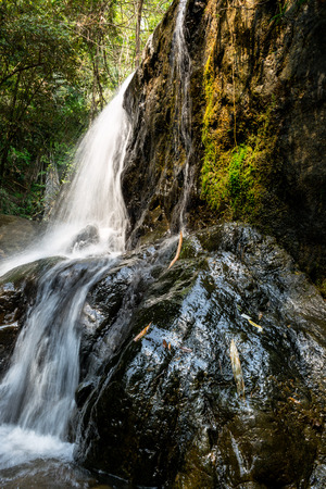 Small waterfall with natural light in deep forest.の写真素材