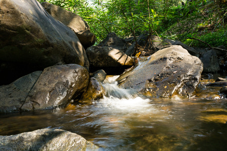 Small waterfall with natural light in deep forest.の写真素材