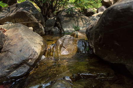 Small waterfall with natural light in deep forest.の写真素材