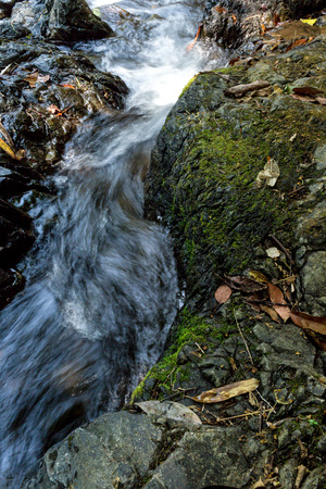 Small waterfall with natural light in deep forest.の写真素材