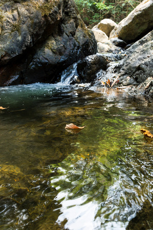 Dried leaves on water with cascading waterfall background in deep forest.の写真素材
