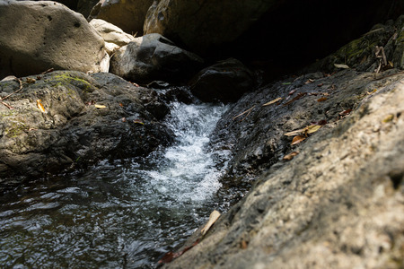 Small waterfall with natural light in deep forest.の写真素材