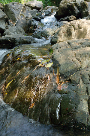 Small waterfall with natural light in deep forest.の写真素材