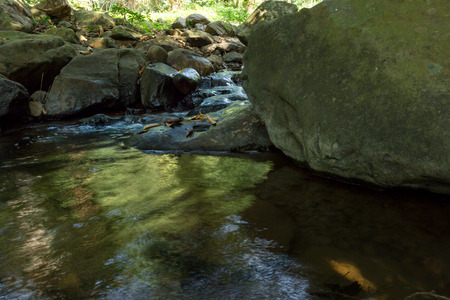 Small waterfall with natural light in deep forest.の写真素材