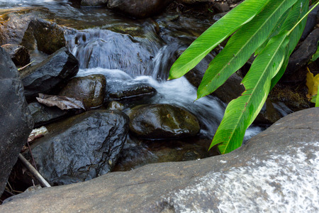 Small waterfall with natural light in deep forest.の写真素材