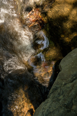 Small waterfall with natural light in deep forest.の写真素材