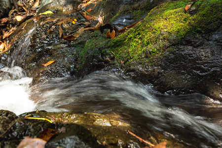 Small waterfall with natural light in deep forest.の写真素材