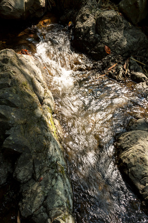 Small waterfall with natural light in deep forest.の写真素材