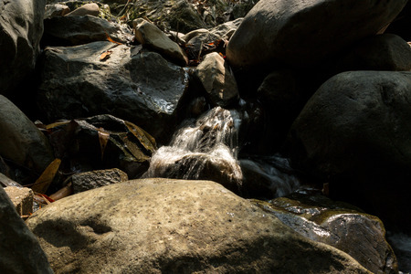 Small waterfall with natural light in deep forest.の写真素材