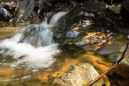 Small waterfall with natural light in deep forest.の写真素材